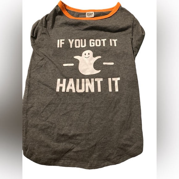 New “if you got it haunt it” xl dog shirt - Picture 1 of 2